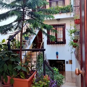 Hotel Sphendone, Provincia di Istanbul
